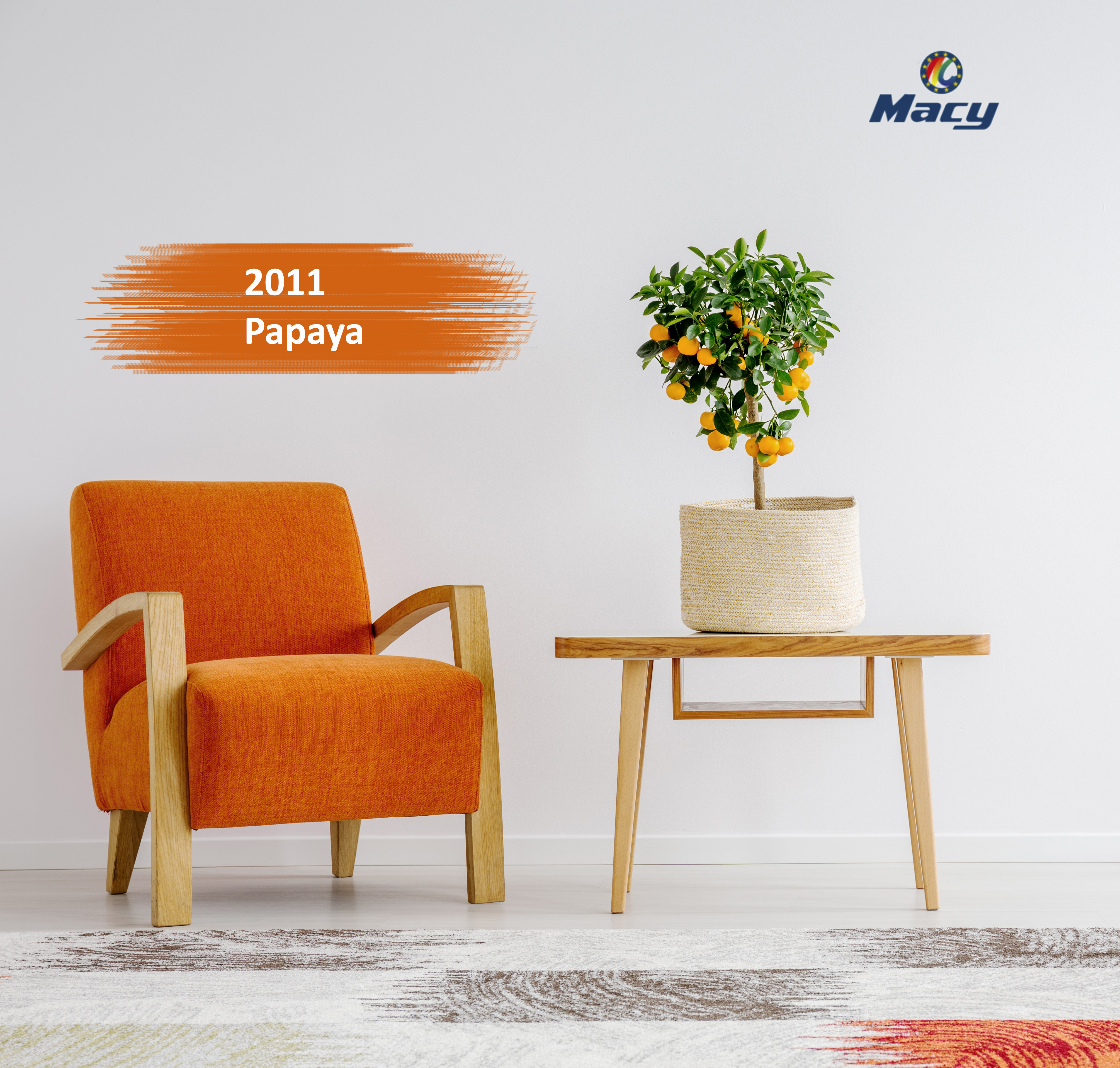 Estrenamos el año con el color Papaya de la colección Pintura Pizarras